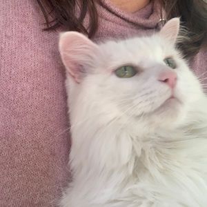 Meet your Posher, Renée